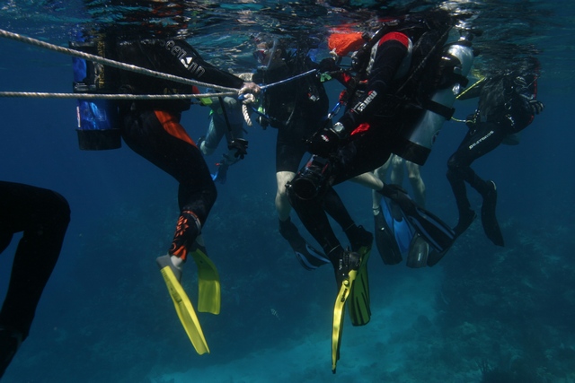 diving accessories and dive equipment masks machines fins tanks diving suits shop poland